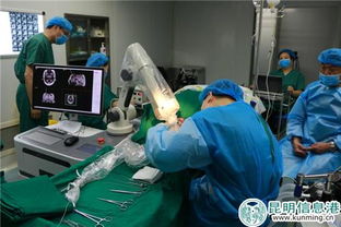 昆明軍海腦科醫(yī)院成功實施60余例機器人手術，為腦科疾病治療開辟新天地