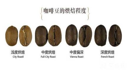 科學界再為咖啡翻案 烘焙副產品竟成大腦守護神